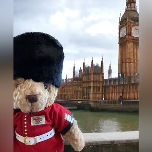 Hard Rock Cafe of London Herrington Bear